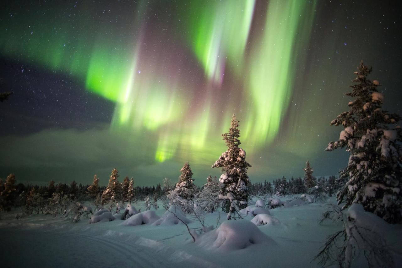 Hotel Golden Circle Suites Rovaniemi Dış mekan fotoğraf